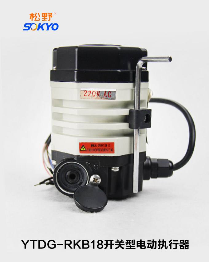 電動頭,YTDG-RKB18開關(guān)型電動執(zhí)行器