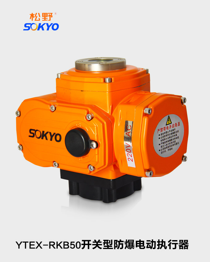 防爆電動執(zhí)行機(jī)構(gòu),YTEx-RKB50防爆電動執(zhí)行器