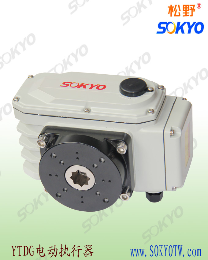 電動(dòng)執(zhí)行機(jī)構(gòu) 電動(dòng)執(zhí)行機(jī)構(gòu)
