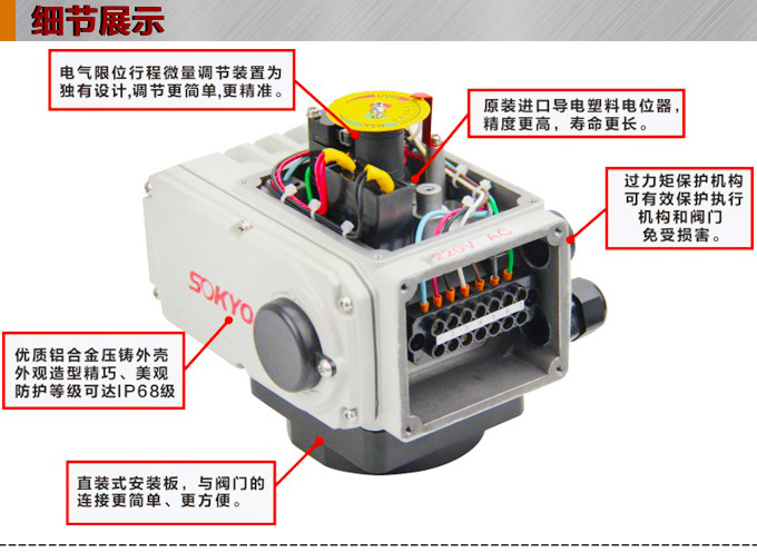 電動執(zhí)行器,電動頭,YTDG-RS200電動執(zhí)行機構細節(jié)圖1