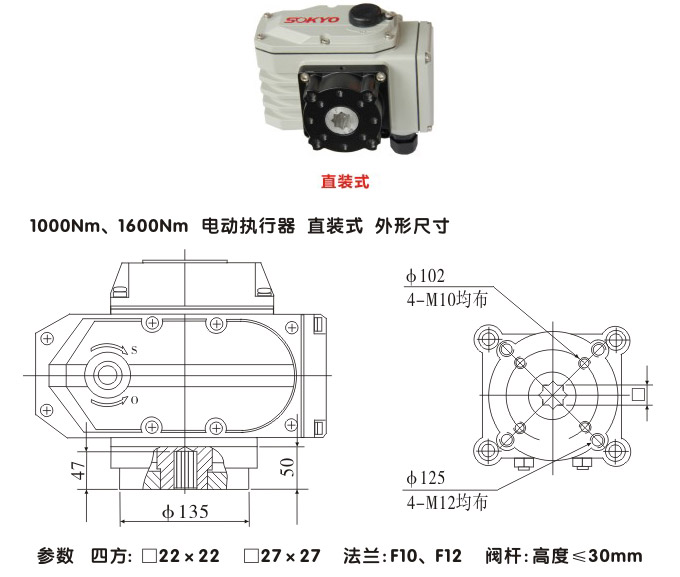 智能電動執(zhí)行器,YTDZ-RS1600智能電動執(zhí)行機(jī)構(gòu)結(jié)構(gòu)圖,直裝式